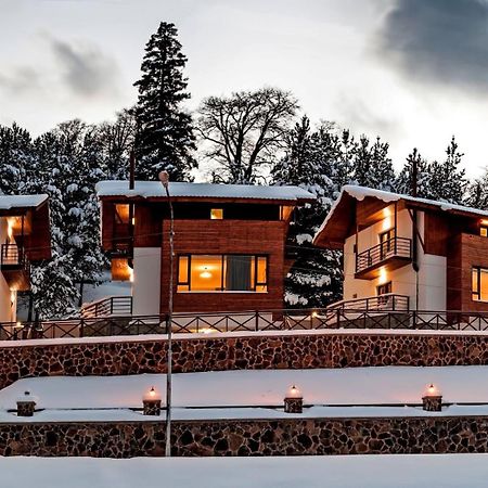 Crystal Hill Resort Bakuriani Kültér fotó